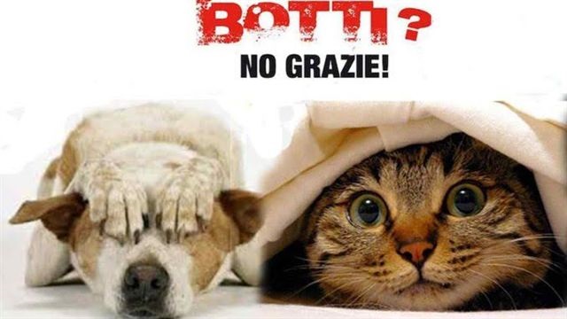 Botti no grazie